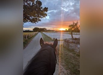 Intensive training days with Josephine Cyr in Martina Franca – Italy