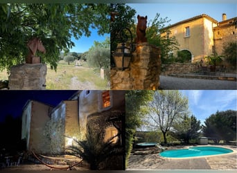 Internship / Work & Holiday / Au Pair with Horses in Southern France