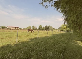 Learn to ride at the highest level – where others go on vacation.