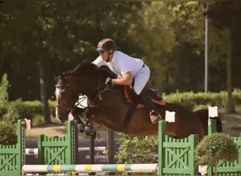 Learn to ride at the highest level – where others go on vacation.