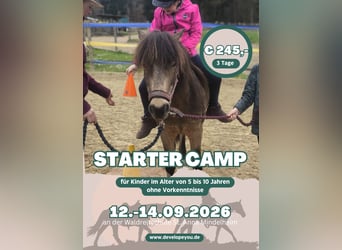 3-Day Riding Holiday Day Camp | Bavarian Summer Vacation for Children Aged 5–10 in Unterallgäu