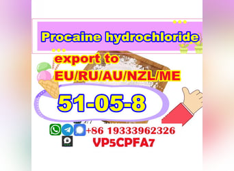 cas 51-05-8 Procaine hydrochloride