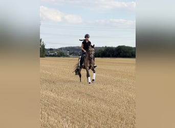 Holiday at the Pony Farm – Horseback Riding