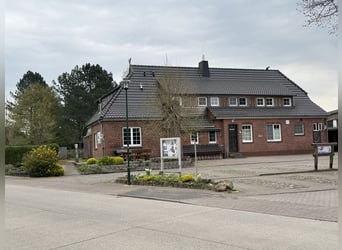 Horse riding holidays for children in the Lüneburg Heath