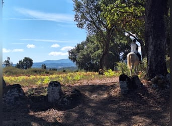 Amazing riding holidays Portugal