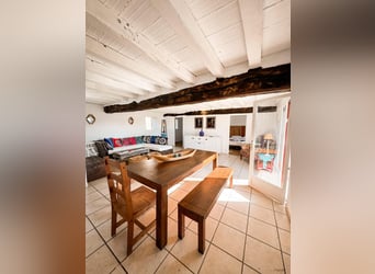 Family adventure at the heart of a stud farm – nature, horses, and well-being