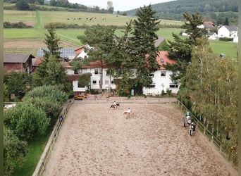 Reiterferien und Ferienwohnungen im Edertal - Reiterparadies Talhof