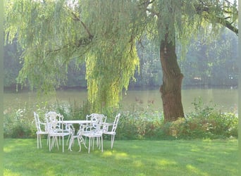 Neue Ferienwohnungen direkt am Wasser mit tollen Reitgelände - auch mit Gastboxen