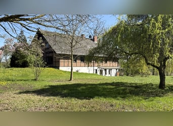10-Hectare Paradise – Country House for Sale in Idyllic Seclusion