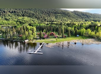 10 hectares of a lush oasis and resort estate in a dream location. British Columbia, Canada.