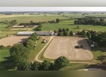 15 hectares of equestrian facility near the Baltic Sea – subdivided paddocks