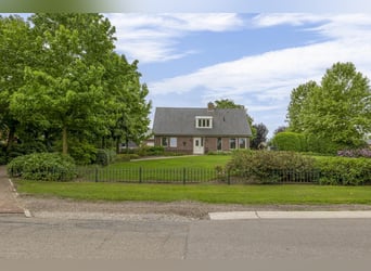 A complete equestrian facility with plenty of opportunities for the (semi)professional horse lover!