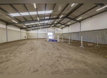 A complete equestrian facility with plenty of opportunities for the (semi)professional horse lover!