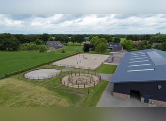 A complete equestrian facility with plenty of opportunities for the (semi)professional horse lover!