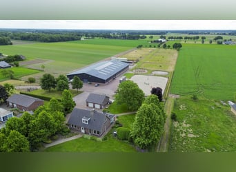 A complete equestrian facility with plenty of opportunities for the (semi)professional horse lover!