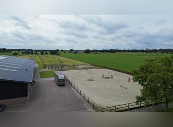 A complete equestrian facility with plenty of opportunities for the (semi)professional horse lover!