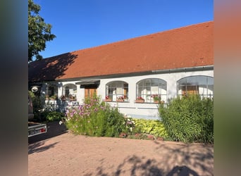 A gem in Hungary set amidst idyllic countryside between Pécs and Kaposvár