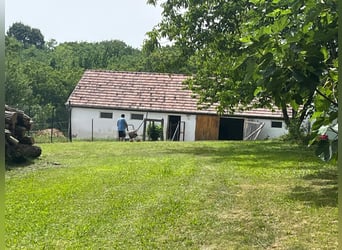 A gem in Hungary set amidst idyllic countryside between Pécs and Kaposvár