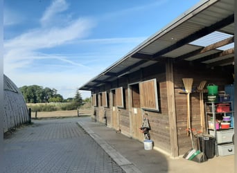 Aussenställe mit Padock 