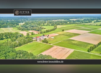 Aussiedlerhof mit großer Wohn- und Reitanlage in Gommersheim – pure Alleinlage in begehrter Umgebung