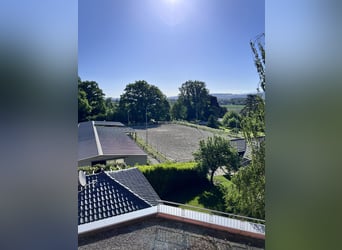 Avenches: Equestrian living at its best: box packages with apartment / studio