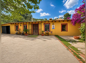 Beautiful equestrian center in Valencia (Costa Blanca)