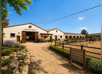 Beautiful equestrian property near Oliva (Valencia), adjacent to a natural park