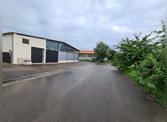 Beautiful estate for sale, suitable as an equestrian facility or development property, located in a 