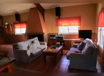 Beautiful Estate Fully Equipped for Horses