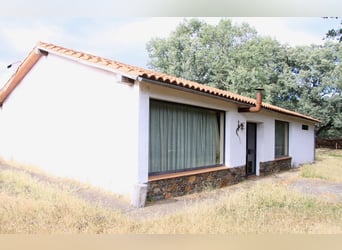 Beautiful estate with a cortijo in Salamanca – 200 hectares