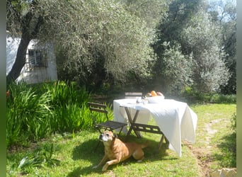 Beautiful finca nestled amidst stunning natural surroundings