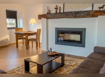 Beautiful Property With Vineyards And Accommodation For Wine Tourism.