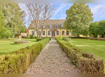 Castle for sale in Rheinhessen featuring its own equestrian facility and event venue!