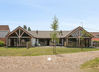 Charmante woning met wijngaard en graslanden op 14.569m² te Wachtebeke | België