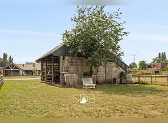 Charmante woning met wijngaard en graslanden op 14.569m² te Wachtebeke | België