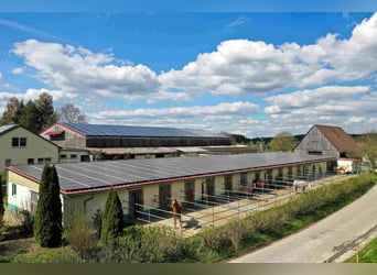 Charming equestrian estate – live and work where others go on vacation!