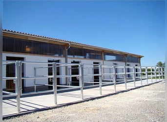 Charming Equestrian Facility Located Between Stuttgart and Lake Constance V11998