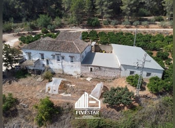Charming estate for enthusiasts, ideal for horsekeeping