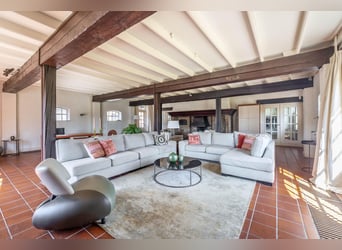 Charming farmhouse with equestrian facilities near ’s-Hertogenbosch
