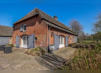 Charming farmhouse with equestrian facilities near ’s-Hertogenbosch