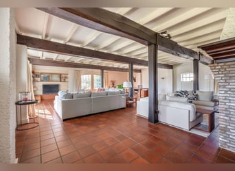 Charming farmhouse with equestrian facilities near ’s-Hertogenbosch