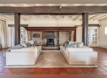 Charming farmhouse with equestrian facilities near ’s-Hertogenbosch