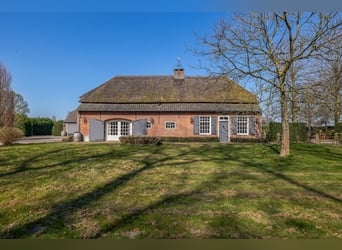 Charming farmhouse with equestrian facilities near ’s-Hertogenbosch