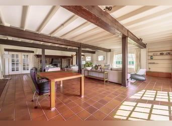 Charming farmhouse with equestrian facilities near ’s-Hertogenbosch