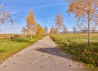 Commercial property in Herrenberg – Newly built equine clinic with multiple offices!