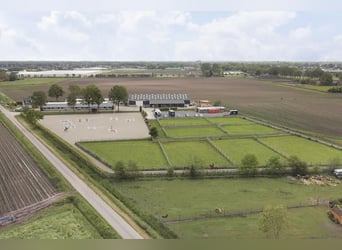 Complete equestrian accommodation located on a plot of 2 hectares in the outskirts