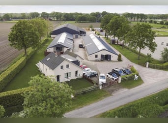 Complete equestrian accommodation located on a plot of 2 hectares in the outskirts