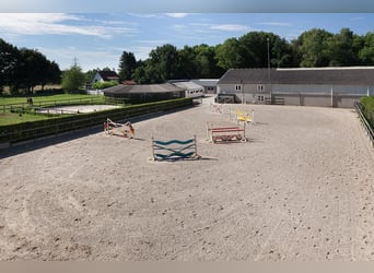 Complete Equestrian Facility with Residence and Extensive Amenities