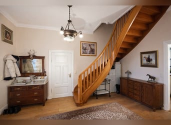 Completely renovated former farm with 3 hectares of private land, riding arena, and indoor riding ha