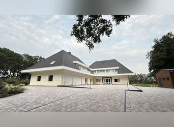 Country estate near Balge: Completely renovated villa, indoor riding arena, and stables on a 2.4-hec